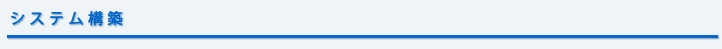 システム構築